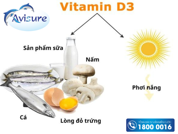 Những lợi ích và vai trò của Vitamin D3