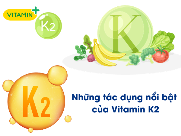 Những tác dụng nổi bật của Vitamin K2